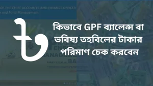 GPF-Balance-Check