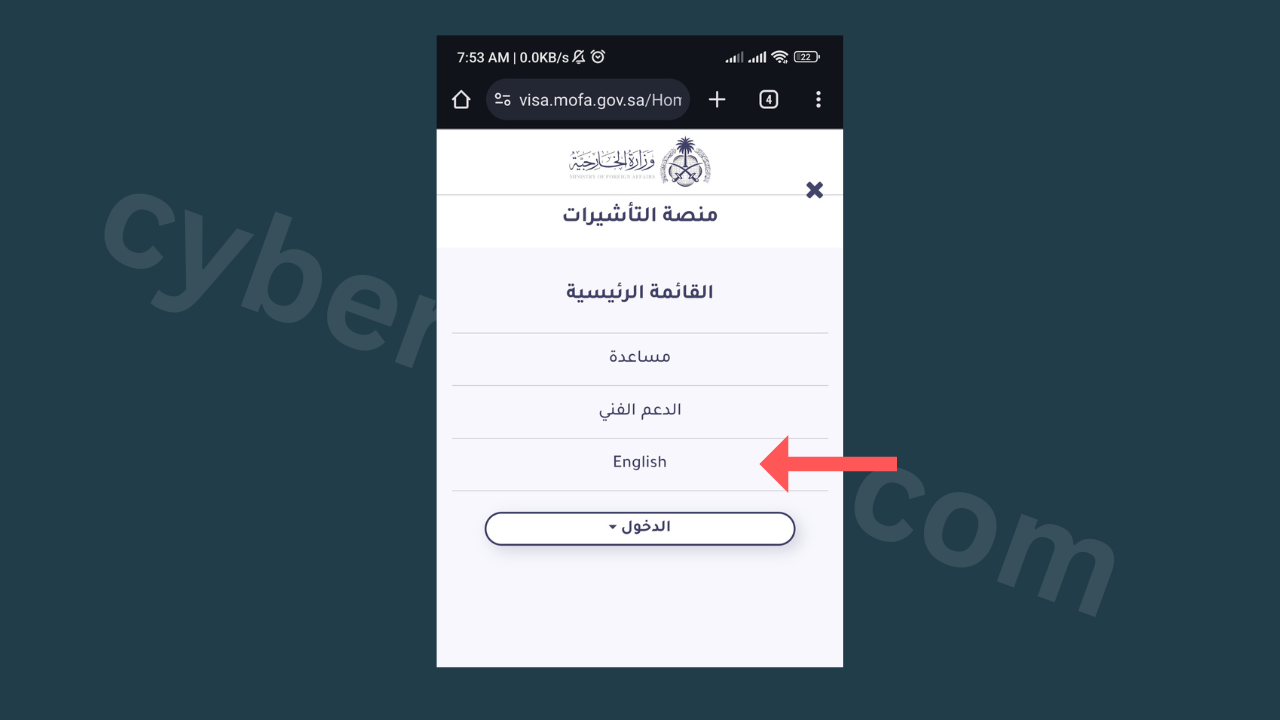 language-switch