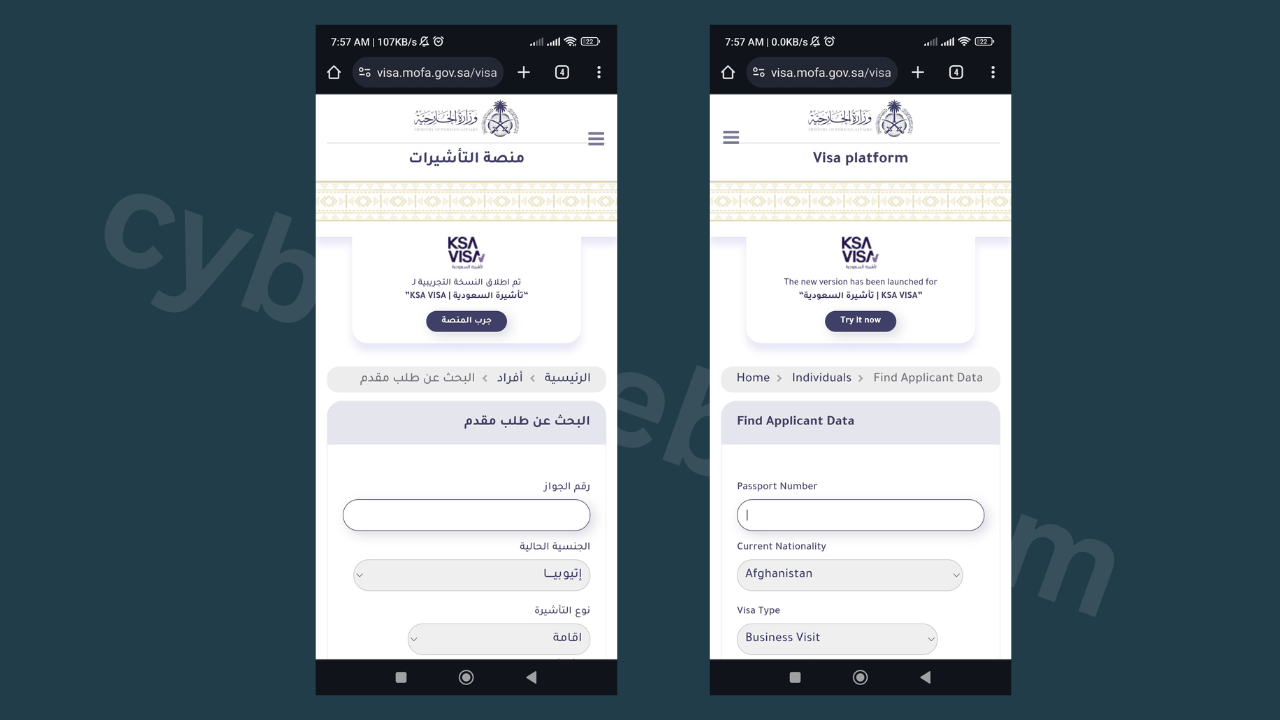 সৌদি ভিসা চেক - saudi-visa-bn-en