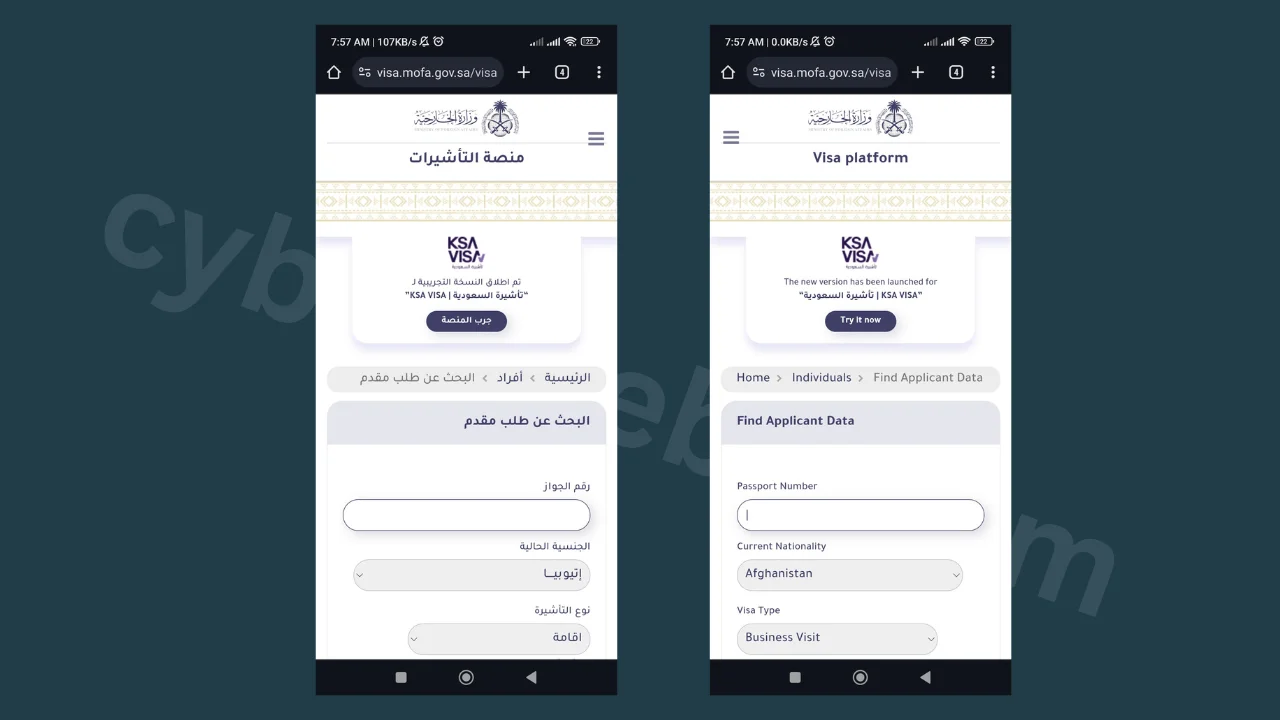সৌদি ভিসা চেক - saudi-visa-bn-en