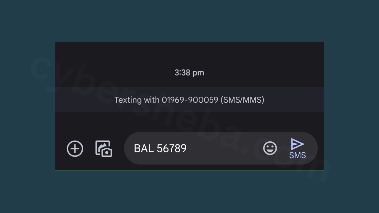 অনলাইনে ব্যাংক একাউন্ট চেক - how to check bank account online-cybersheba.com