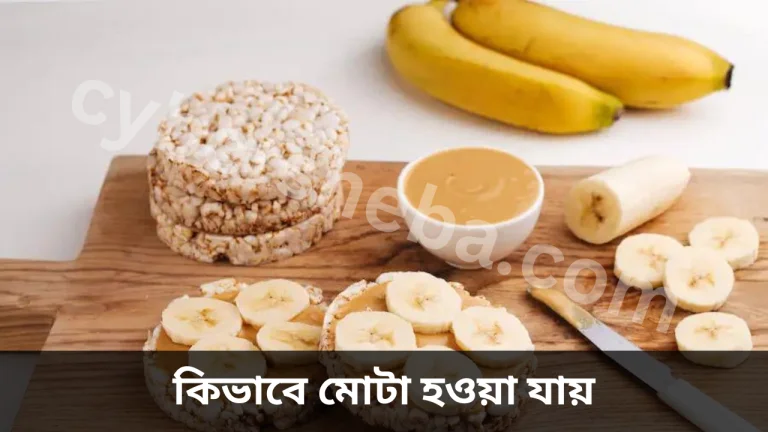 মোটা হওয়ার উপায়