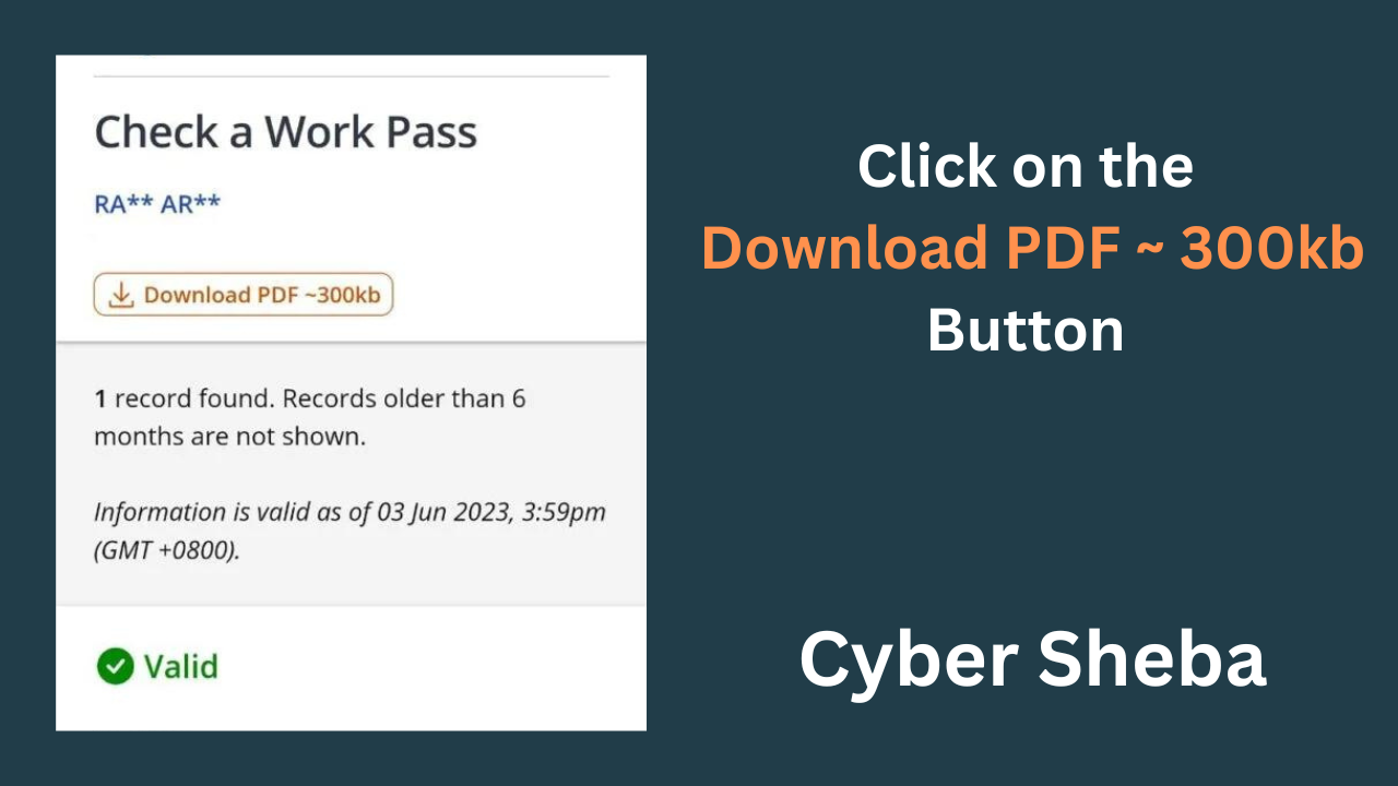 download-visa-report-অনলাইনে-সিঙ্গাপুর-ভিসা-চেক-Singapore-Visa-Check-Online-cybersheba.com