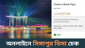 অনলাইনে সিঙ্গাপুর ভিসা চেক - Singapore Visa Check Online-cybersheba.com
