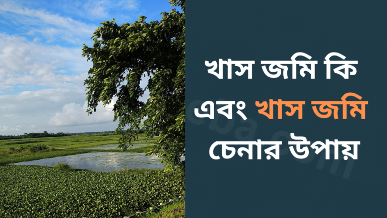 খাস জমি কি এবং খাস জমি চেনার উপায়-cybersheba.com