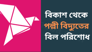 বিকাশ থেকে পল্লী বিদ্যুতের বিল পরিশোধ-cybersheba.com