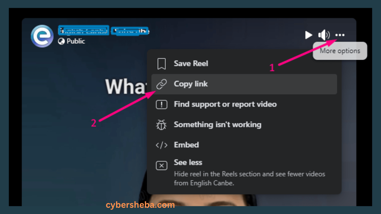 copy-link-ফেসবুক রিলস ডাউনলোড - Facebook Reels Download-cybersheba.com