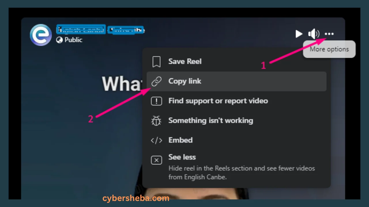 copy-link-ফেসবুক রিলস ডাউনলোড - Facebook Reels Download-cybersheba.com