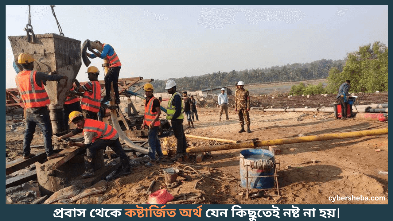 কষ্টার্জিত অর্থ-প্রবাস থেকে ফিরে কোন ধরণের ব্যবসা করা করা যায়-cybersheba.com