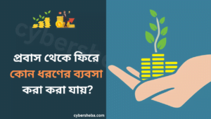 প্রবাস থেকে ফিরে কোন ধরণের ব্যবসা করা করা যায়-cybersheba.com
