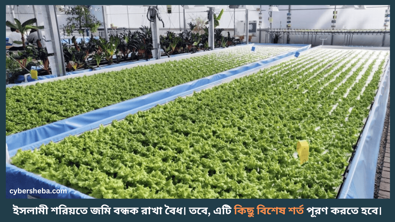 Land-Bond-কিভাবে জমি বন্ধক রাখতে হয়-cybersheba.com