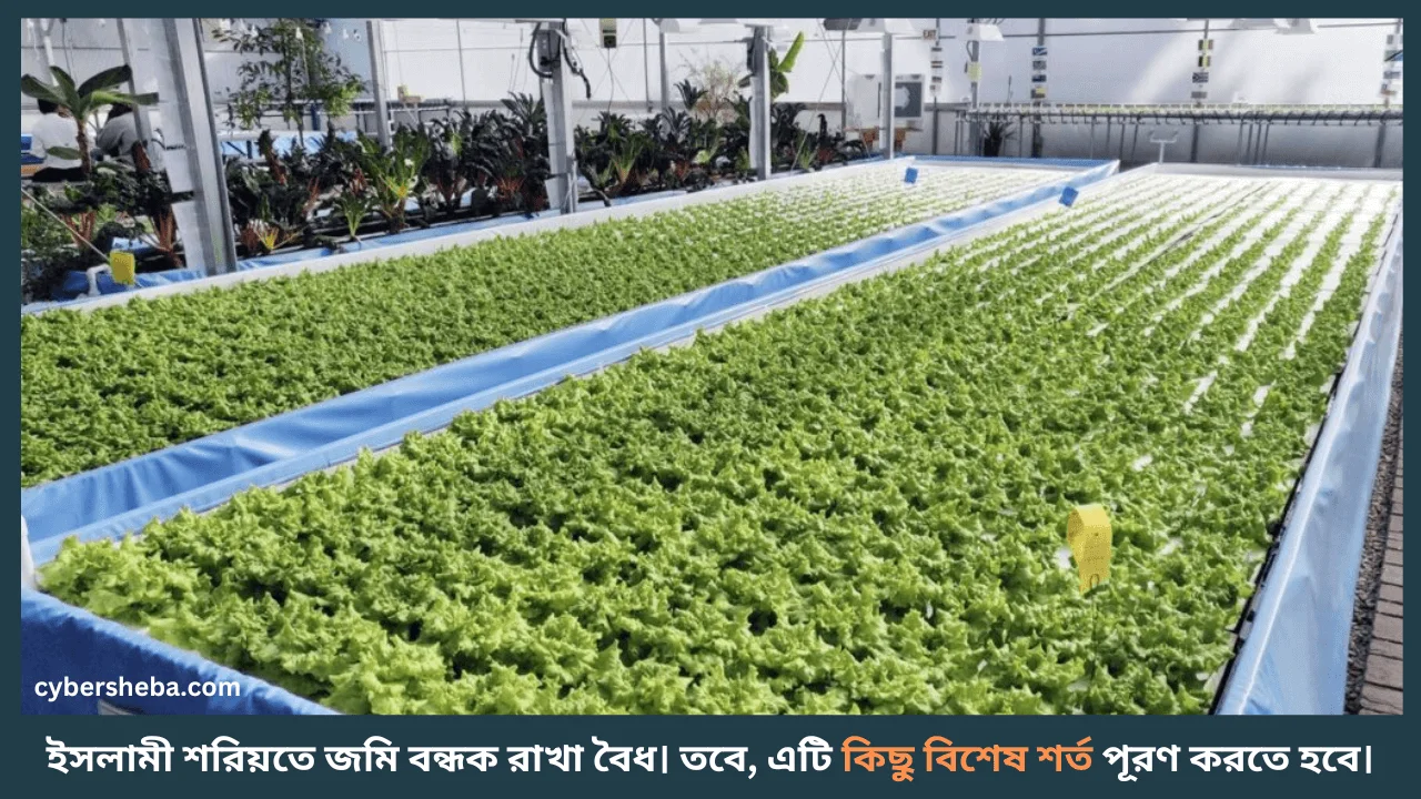 Land-Bond-কিভাবে জমি বন্ধক রাখতে হয়-cybersheba.com