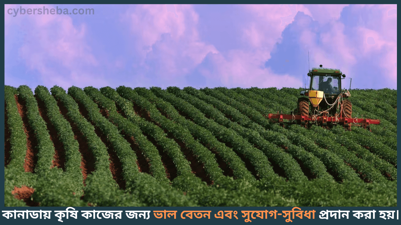 Canada-Job-Farmer-কানাডা কৃষি ভিসা আবেদনের নিয়ম-cybersheba.com