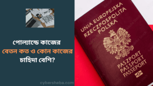 পোল্যান্ডে কাজের বেতন কত ও কোন কাজের চাহিদা বেশি-cybersheba.com