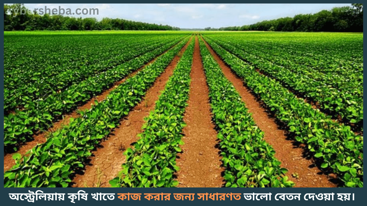 Australia-Farmer-Job-Visa-অস্ট্রেলিয়া কৃষি কাজের ভিসা ২০২৫-cybersheba.com