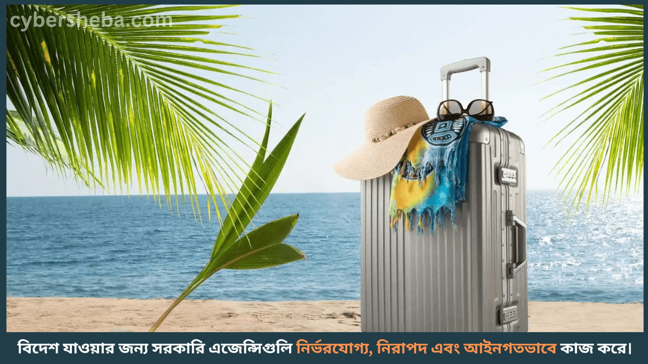 govt-Agency-বিদেশ যাওয়ার জন্য সরকারি এজেন্সি কোন গুলা-cybersheba.com