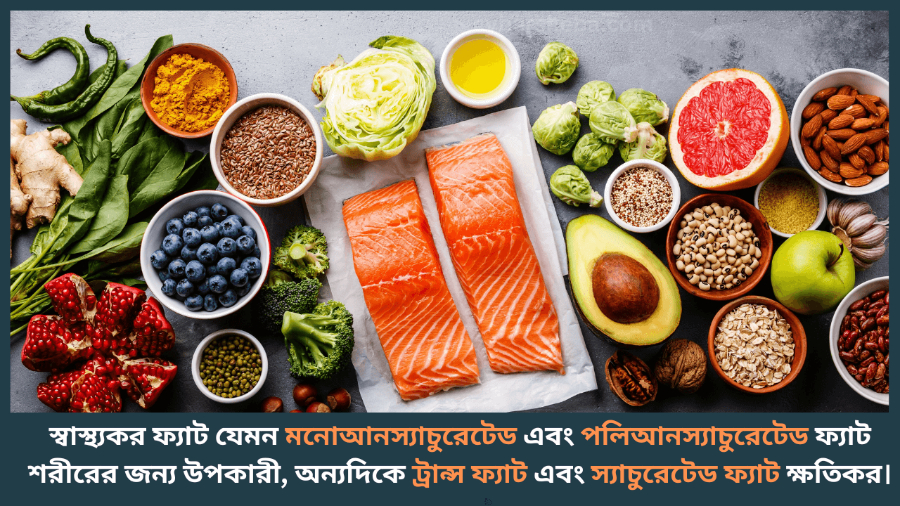 Healthy-fat-foods-সাহরীতে কি খেলে ক্ষুধা কম লাগবে-cybersheba.com
