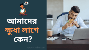 আমাদের ক্ষুধা লাগে কেন-cybersheba.com