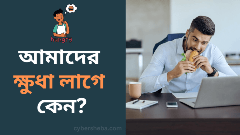 আমাদের ক্ষুধা লাগে কেন-cybersheba.com