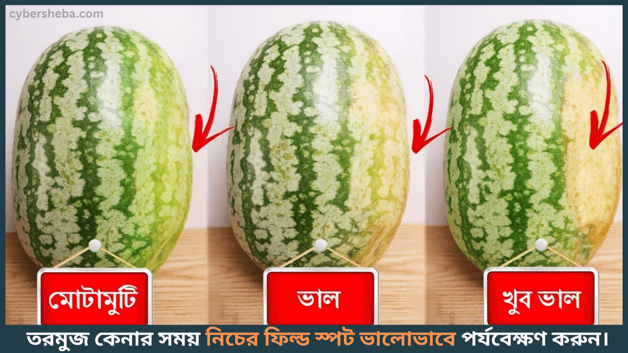 https://cybersheba.com/wp-content/uploads/2025/05/How-to-Identify-real-watermelon-আসল-তরমুজ-চেনার-উপায়-cybersheba.com_.png