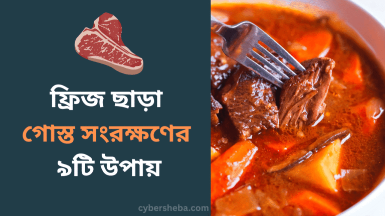 ফ্রিজ ছাড়া গোস্ত সংরক্ষণের ৯টি উপায় - cybersheba.com
